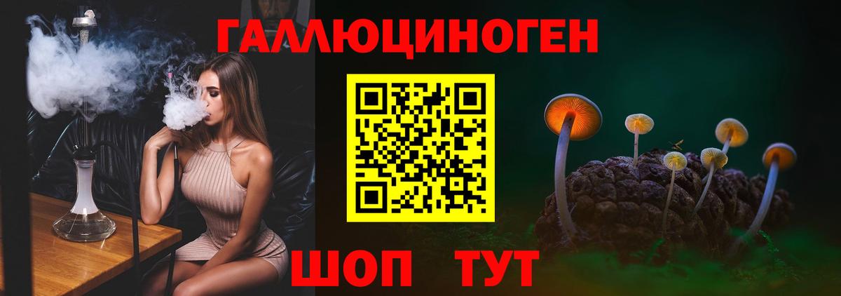 Псилоцибиновые грибы MAGIC MUSHROOMS  Вход с VPN  Сочи 