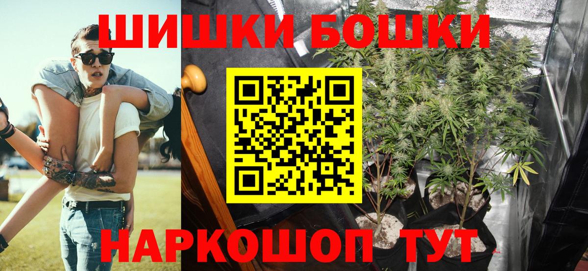 Конопля сатива Сочи